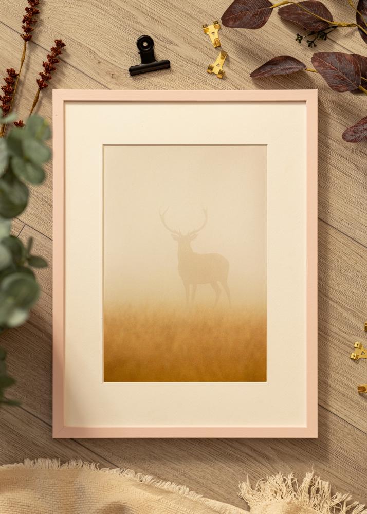 Colorful Sticlă acrilică Roz 60x80 cm