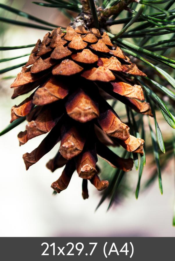 Redimensionare FineArt Bamboo 290 g