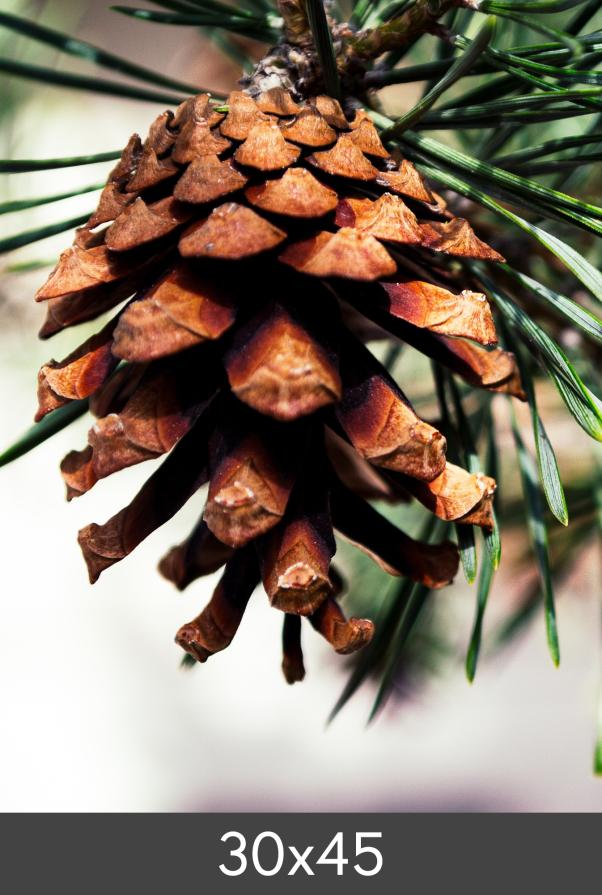 Redimensionare FineArt Bamboo 290 g