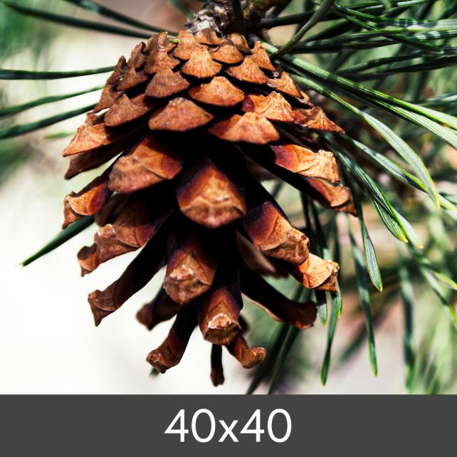 Redimensionare FineArt Bamboo 290 g