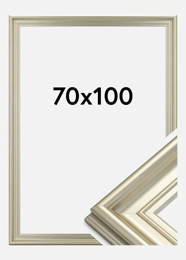 Ramă Mora Premium Argintiu 70x100 cm
