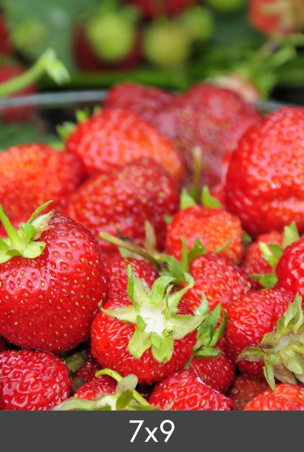 Redimensionare Standard Photo Glossy 290 g