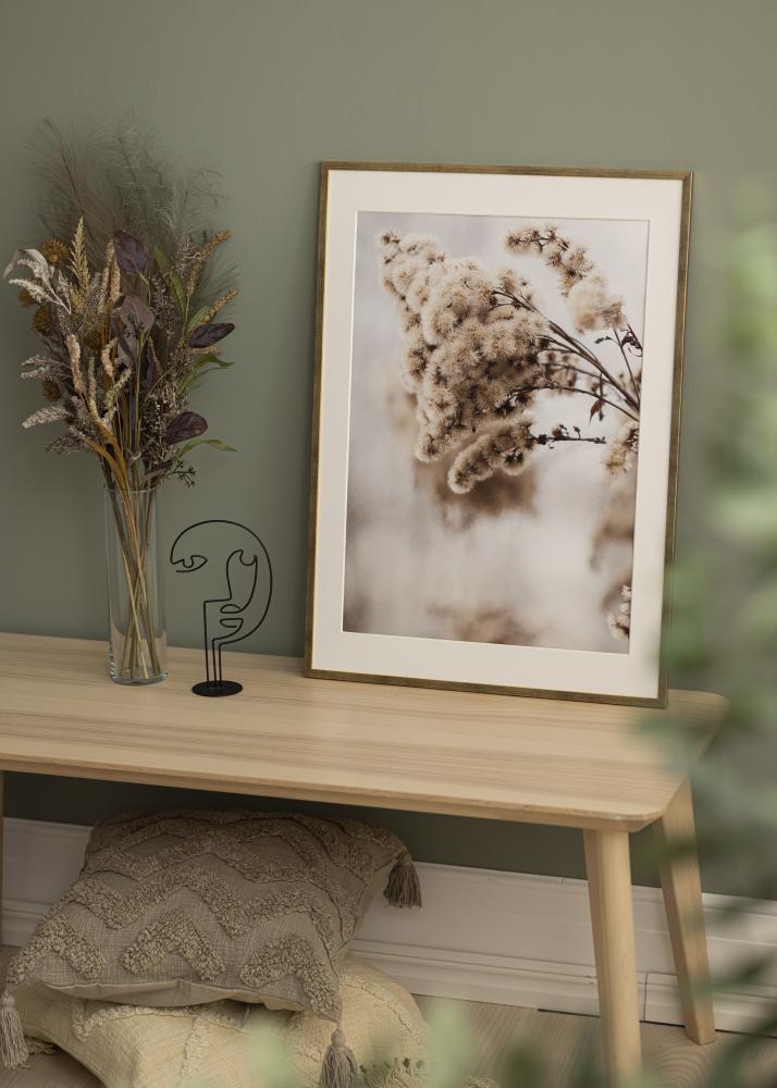 Ramă Galant Sticlă acrilică Auriu 50x70 cm