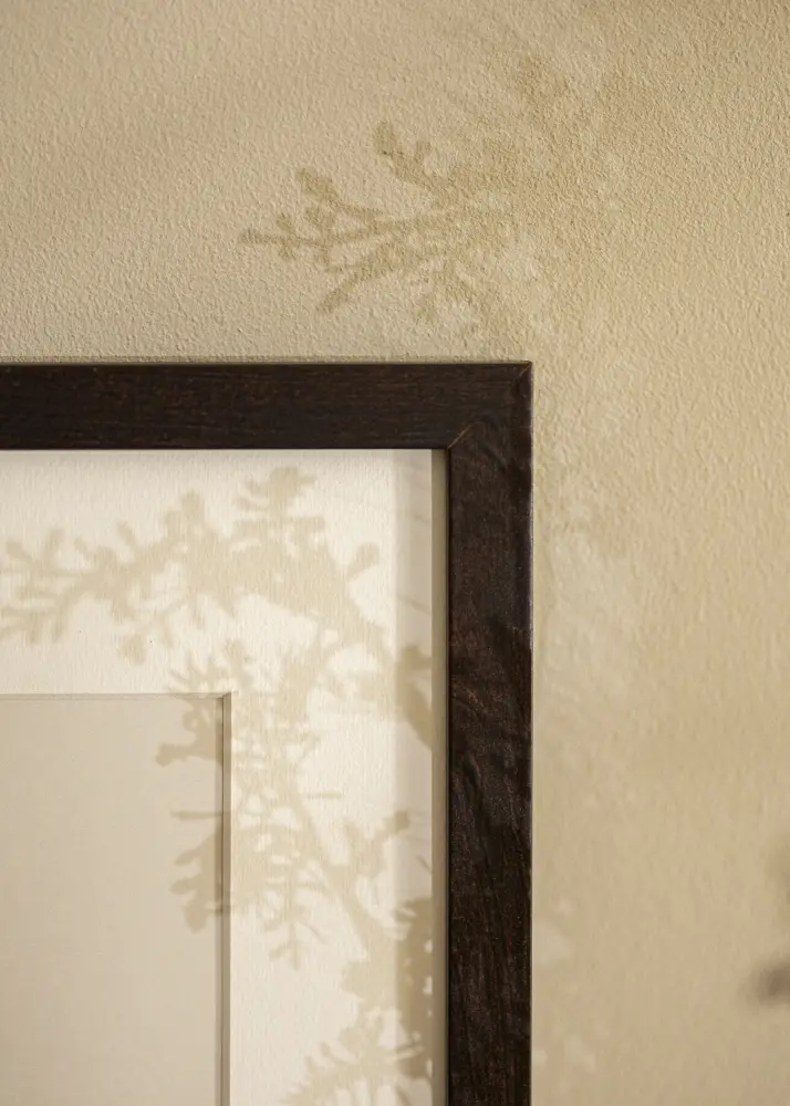 Ramă Selection Akrylglas Nuc 60x70 cm