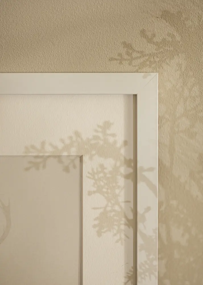 Ramă Selection Akrylglas Alb 60x70 cm