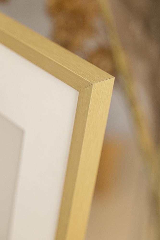 Ramă Chair Auriu 40x50 cm