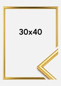 Ramă Newline Auriu 30x40 cm