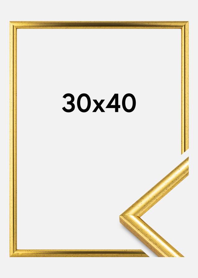 Ramă Newline Auriu 30x40 cm