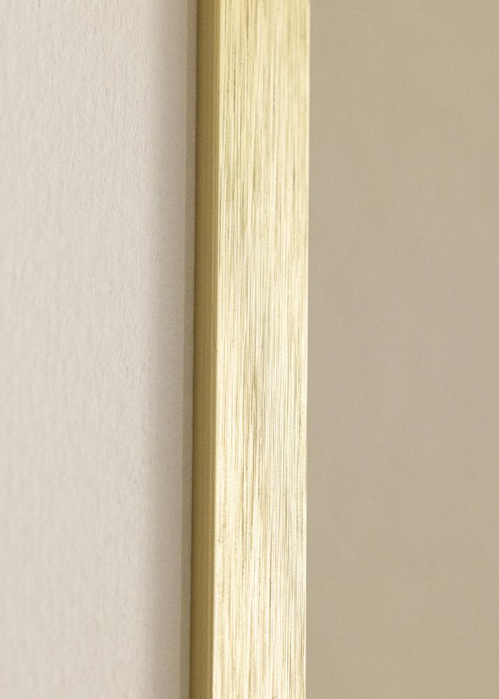 Ramă Chair Auriu 40x50 cm