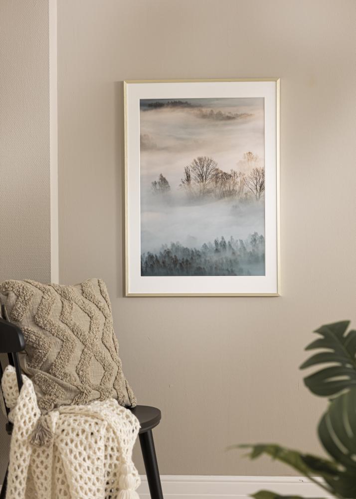 Ramă Chair Auriu 40x50 cm