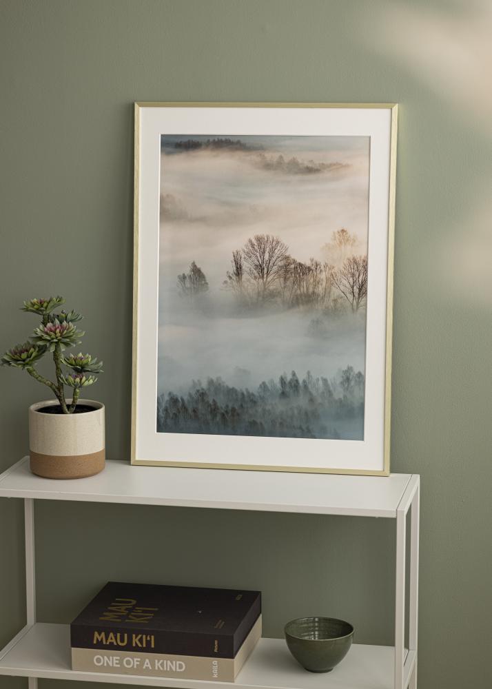 Ramă Chair Auriu 40x50 cm