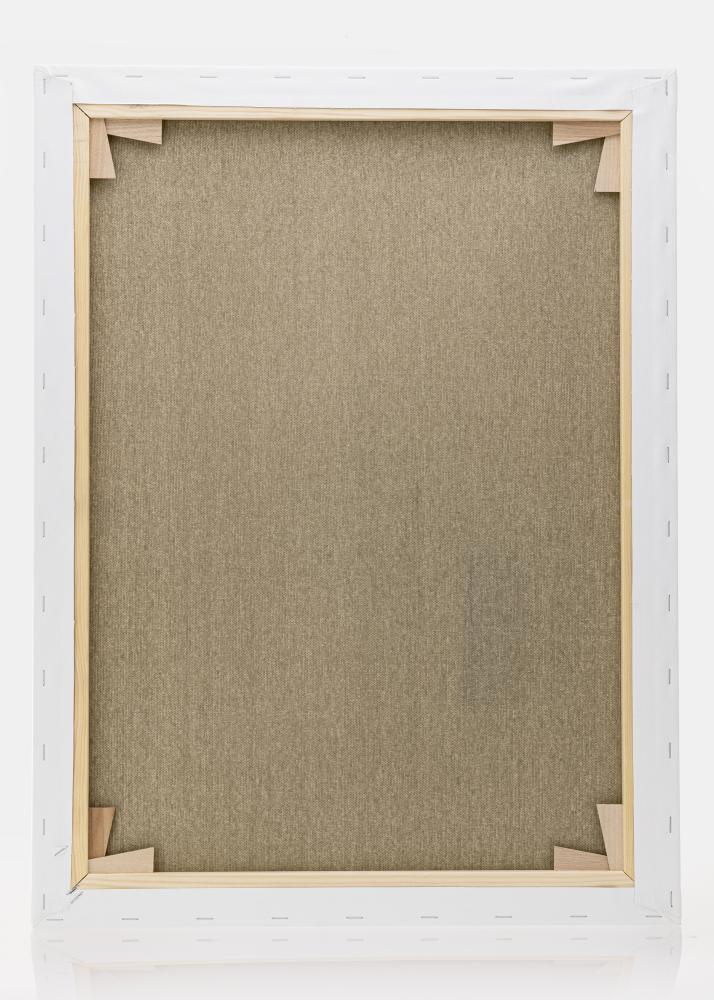Pânză pentru pictură Premium Alb 60x80 cm