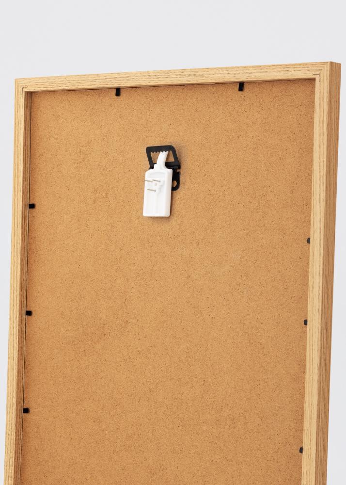 Cârlig de tablou pentru toate tipurile de perete - BGA 2 buc.