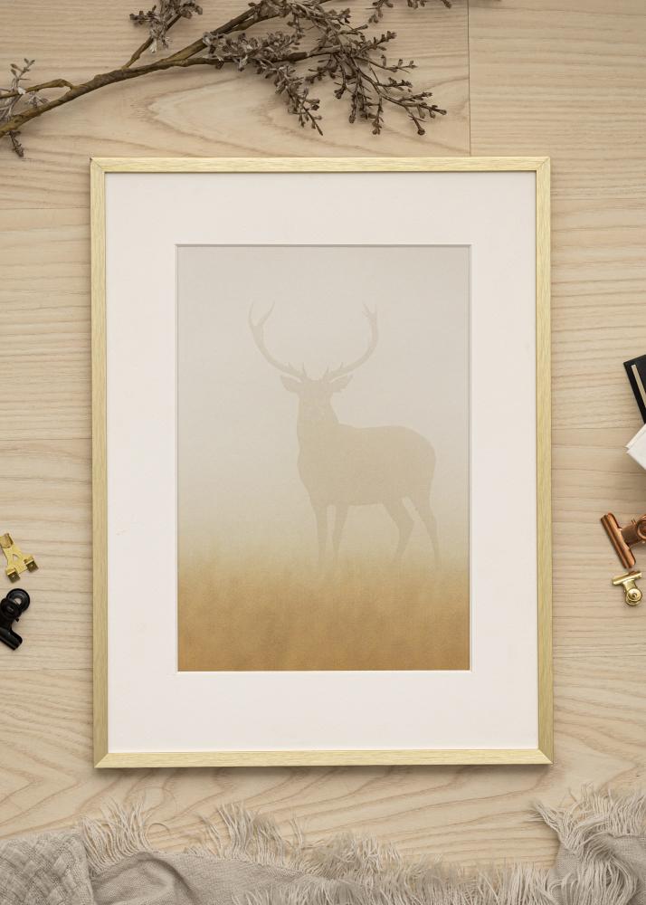 Ramă Chair Auriu 40x50 cm