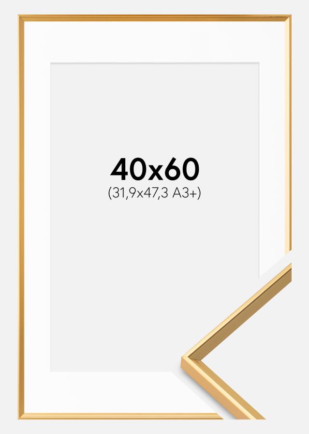 Ramă Desire Auriu 40x60 cm - Paspartu Alb 32,9x48,3 cm (A3+)