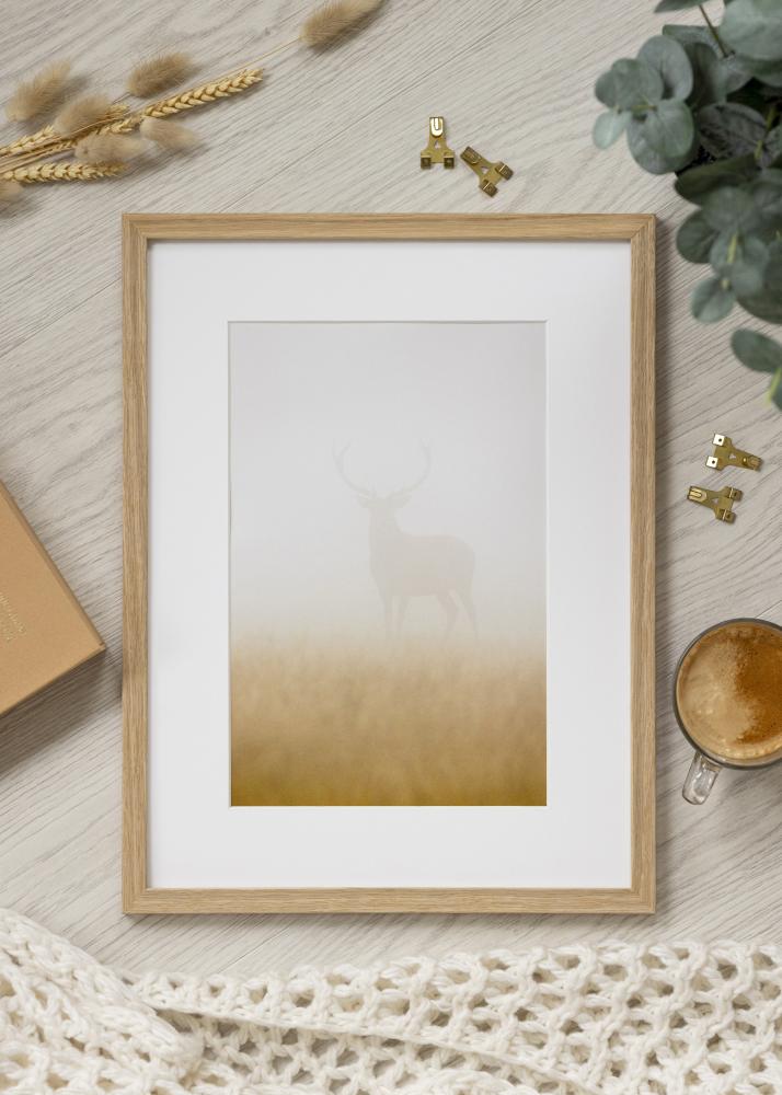 Ramă Vemdalen Sticlă acrilică Stejar 40x81 cm