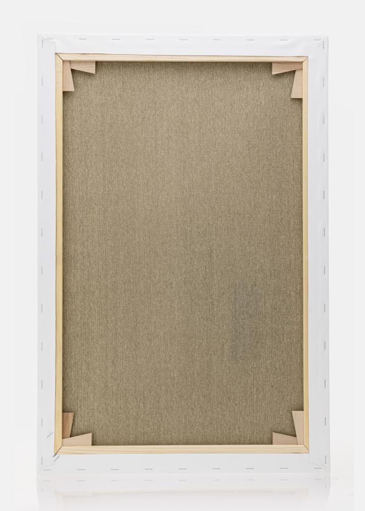 Pânză pentru pictură Premium Alb 80x120 cm