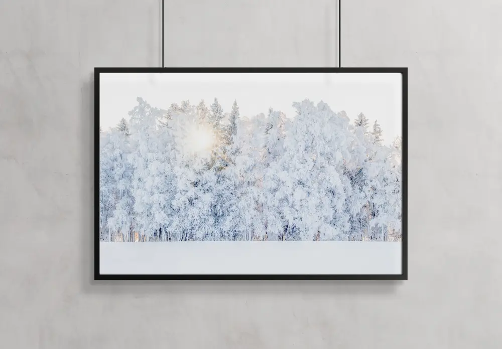 Winter light Poster