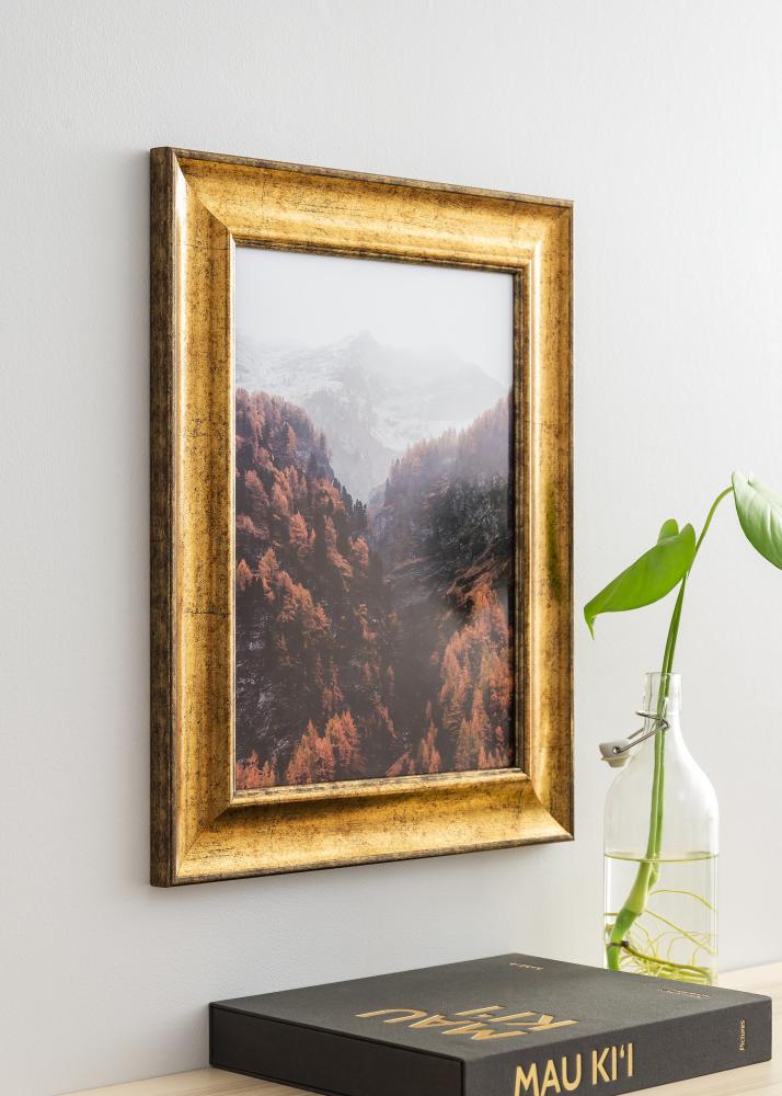 Ramă Saltsjöbaden Sticlă acrilică Auriu 50x60 cm