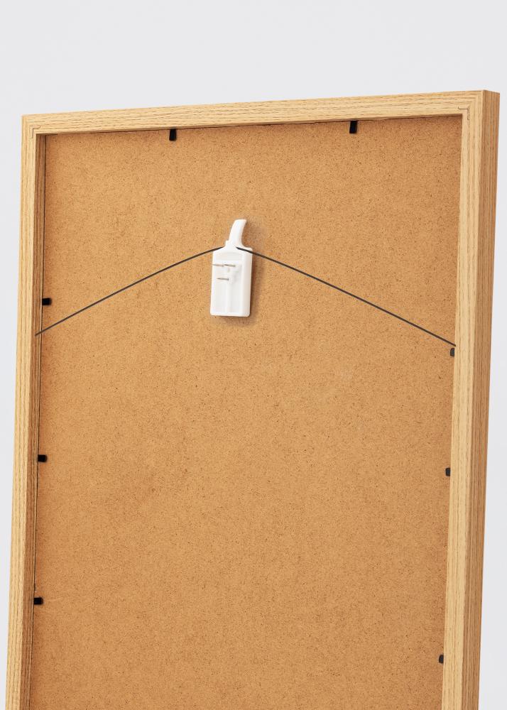 Cârlig de tablou pentru toate tipurile de perete - BGA 2 buc.