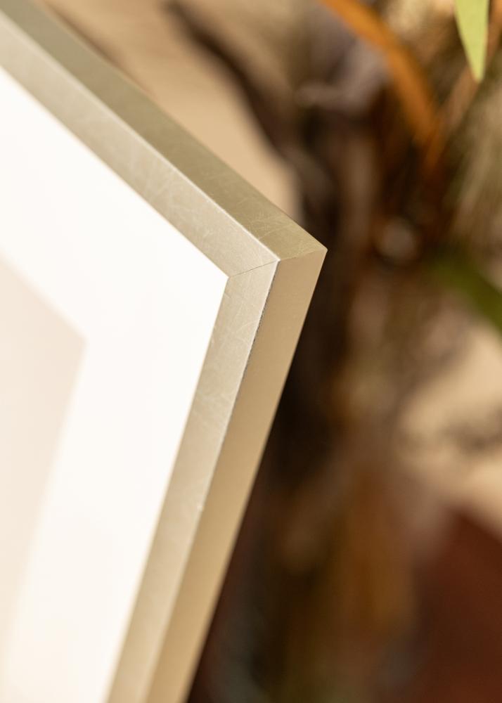 Ramă Minerva Sticlă acrilică Argintiu 50x60 cm