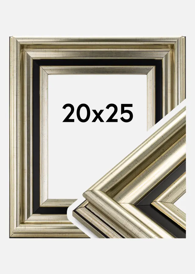 Ramă Gysinge Premium Argintiu 20x25 cm