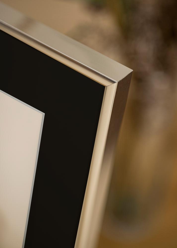 Ramă Aluminiu Argintiu sidefat 70x100 cm - Paspartu Negru 62x85 cm