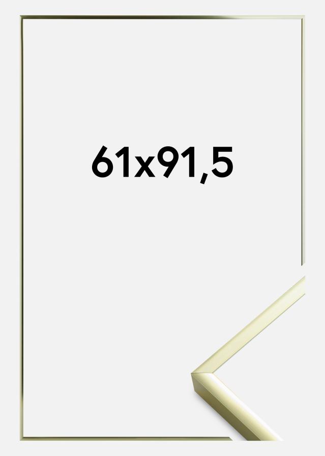 Ramă Poster Frame Aluminum Sticlă acrilică Gold 61x91,5 cm