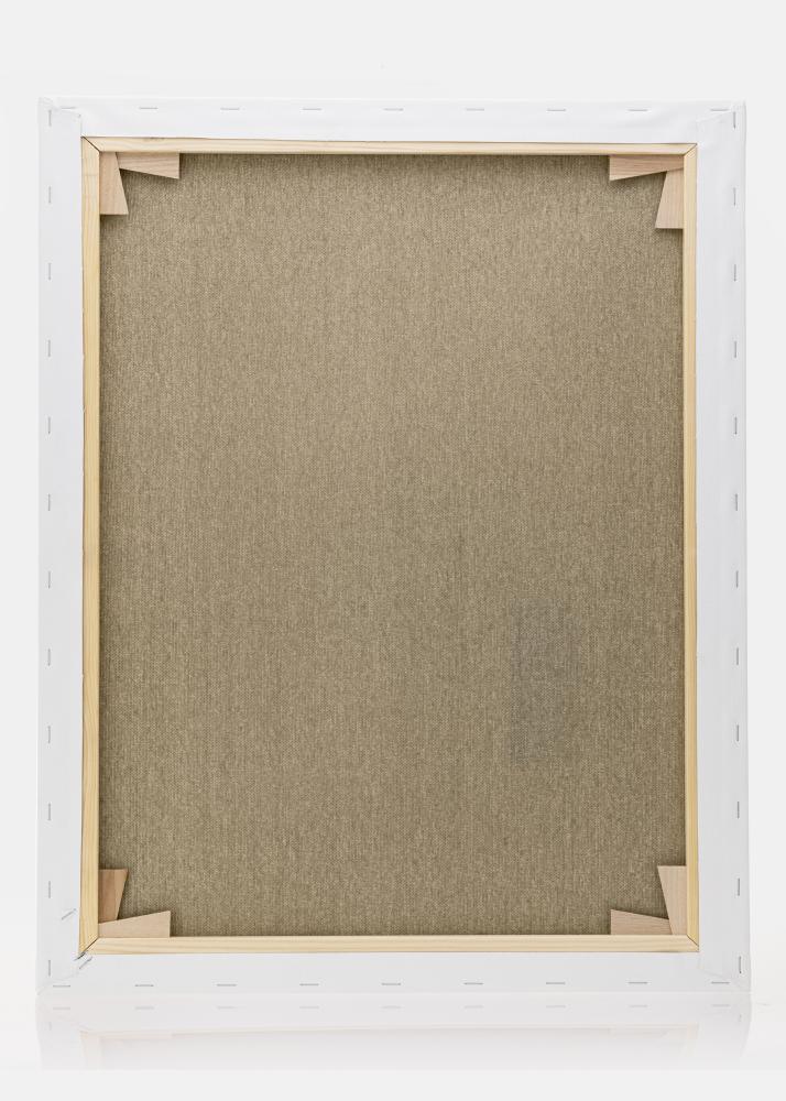 Pânză pentru pictură Premium Alb 40x50 cm