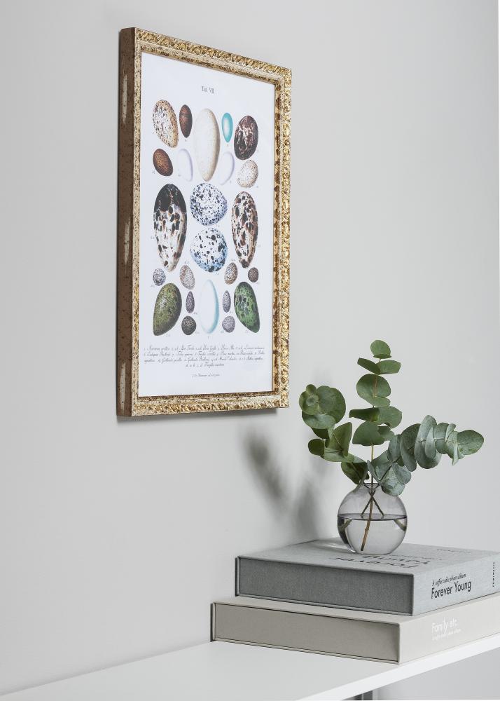 Ramă Smith Auriu-Argintiu 10x15 cm