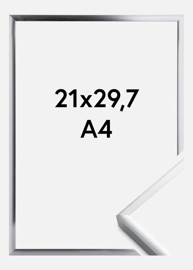 Ramă Poster Frame Aluminum Argintiu 21x29,7 cm (A4)