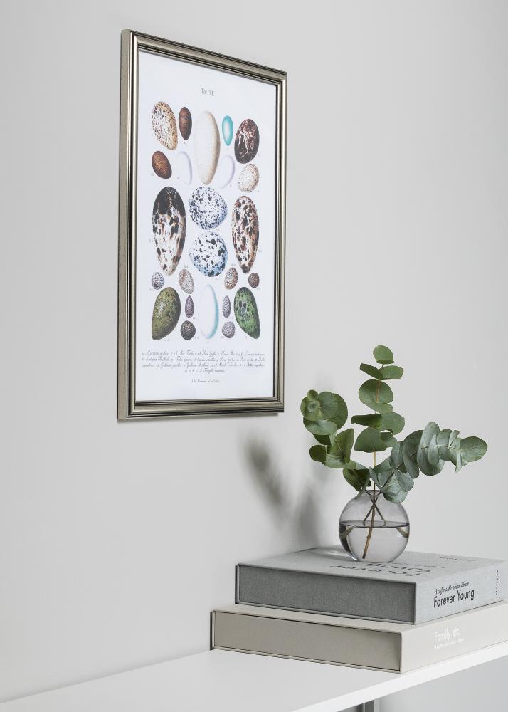 Ramă Tango Argintiu 30x40 cm