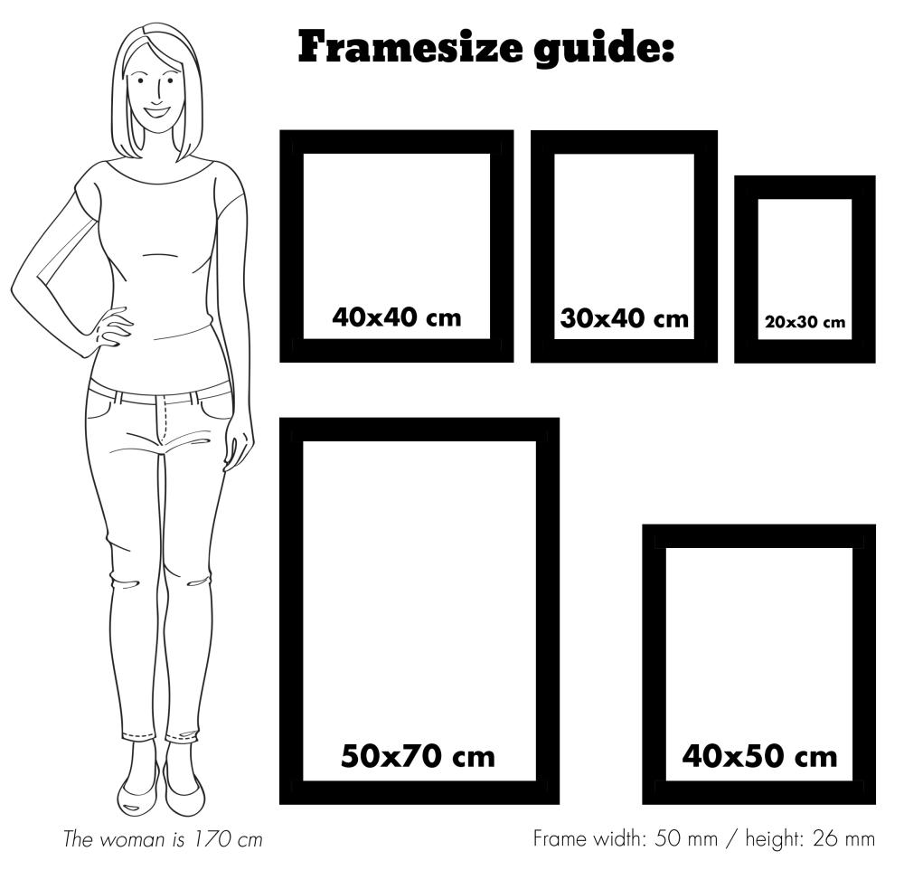 Ramă Rococo Argintiu 40x50 cm