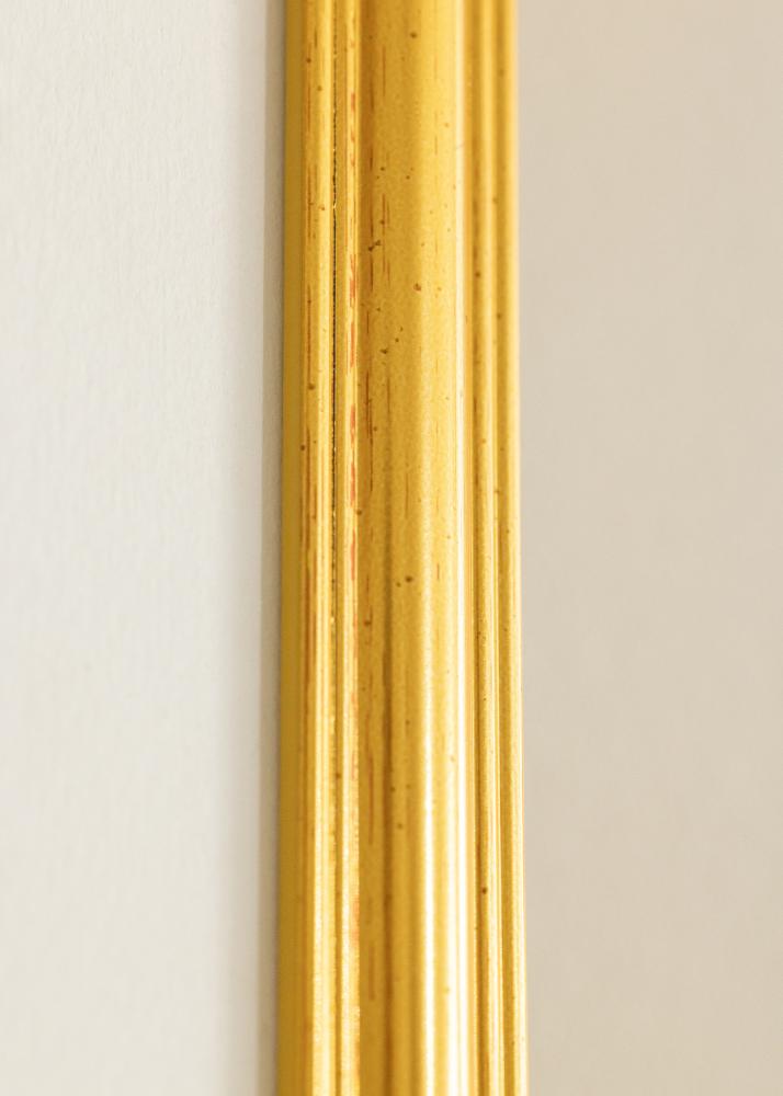Ramă Frigg Auriu 10x15 cm