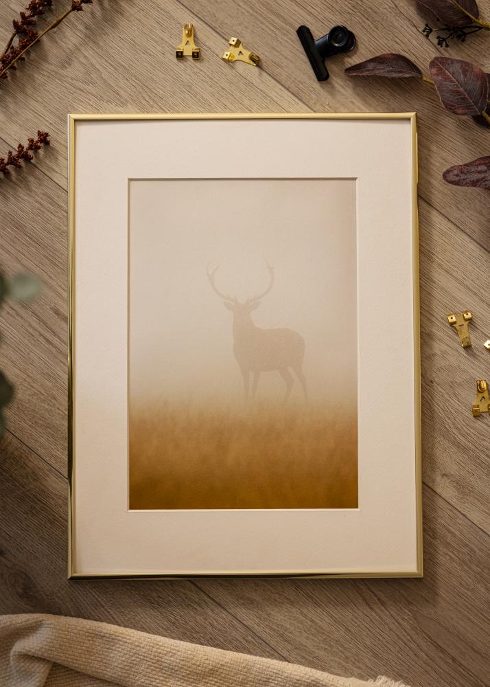 Ramă Ibiza Auriu - Mărime la alegere