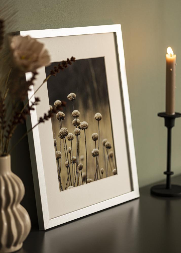 Ramă Selection Sticlă acrilică Argintiu 42x59,4 cm (A2)