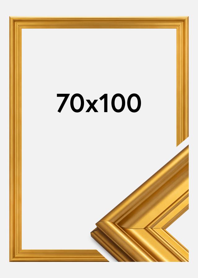 Ramă Mora Premium Auriu 70x100 cm