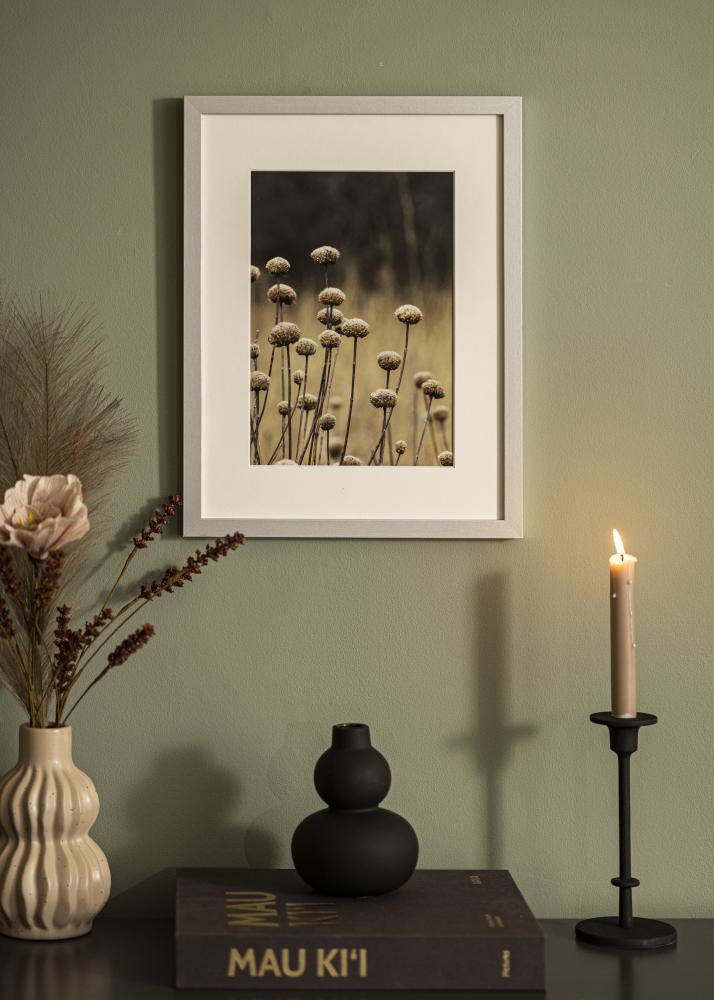 Ramă Selection Sticlă acrilică Argintiu 42x59,4 cm (A2)