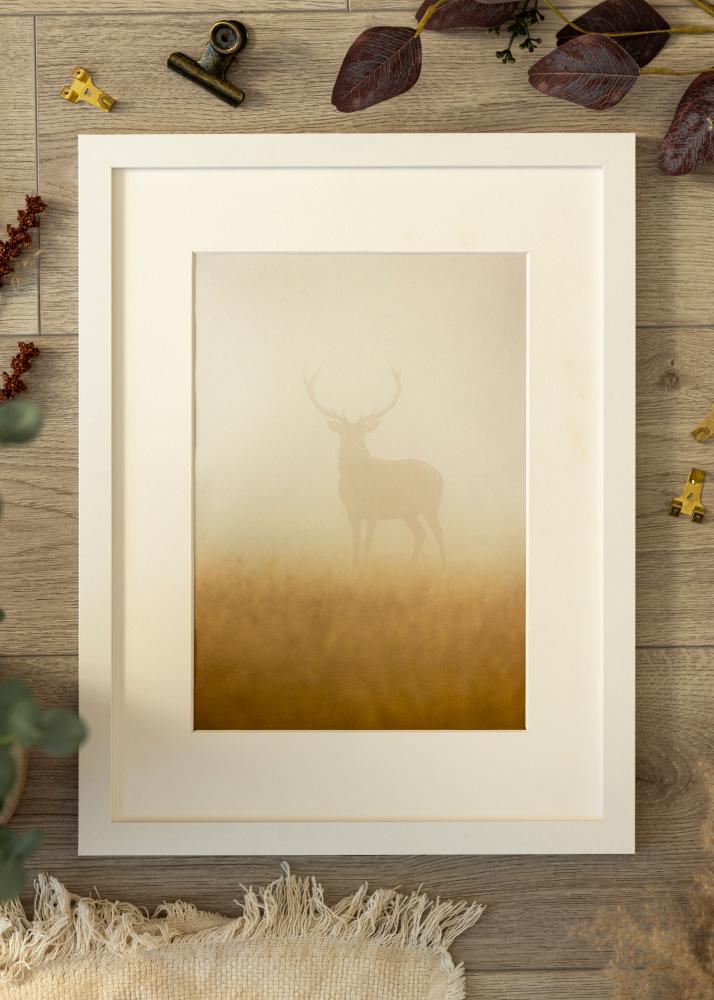 Ramă BGA Classic Sticlă acrilică Alb 59,4x84,1 cm (A1)