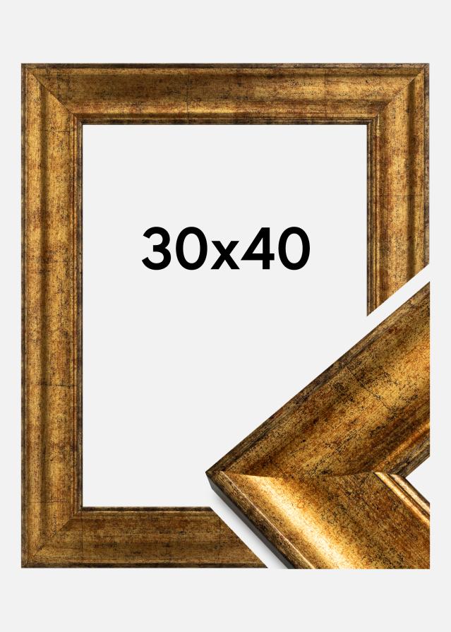 Ramă Saltsjöbaden Sticlă acrilică Auriu 30x40 cm