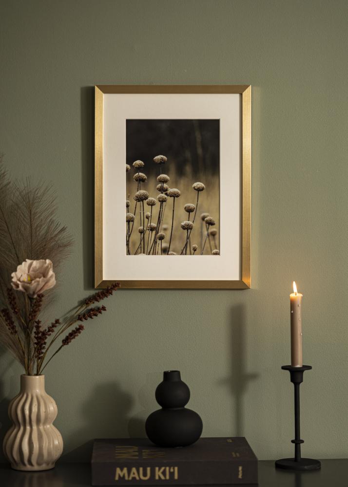 Ramă Selection Sticlă acrilică Auriu 70x70 cm