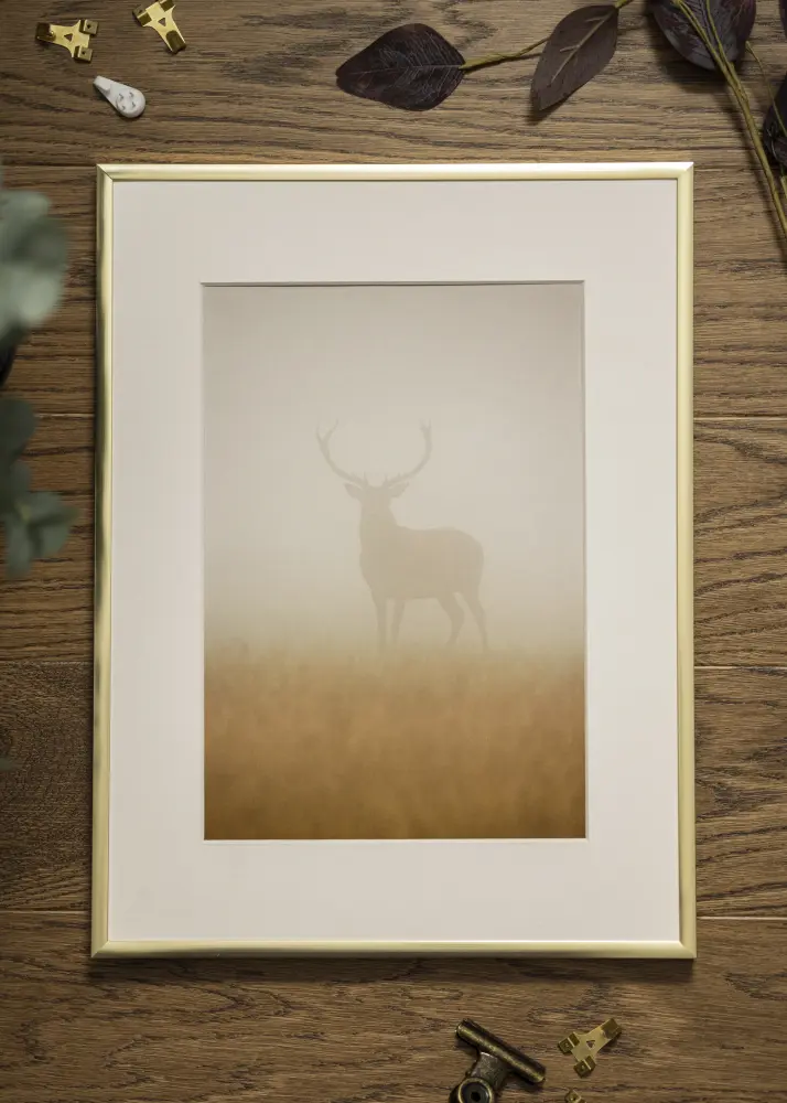Ramă Poster Frame Aluminum Gold 60x80 cm - Paspartu Alb 50x60 cm
