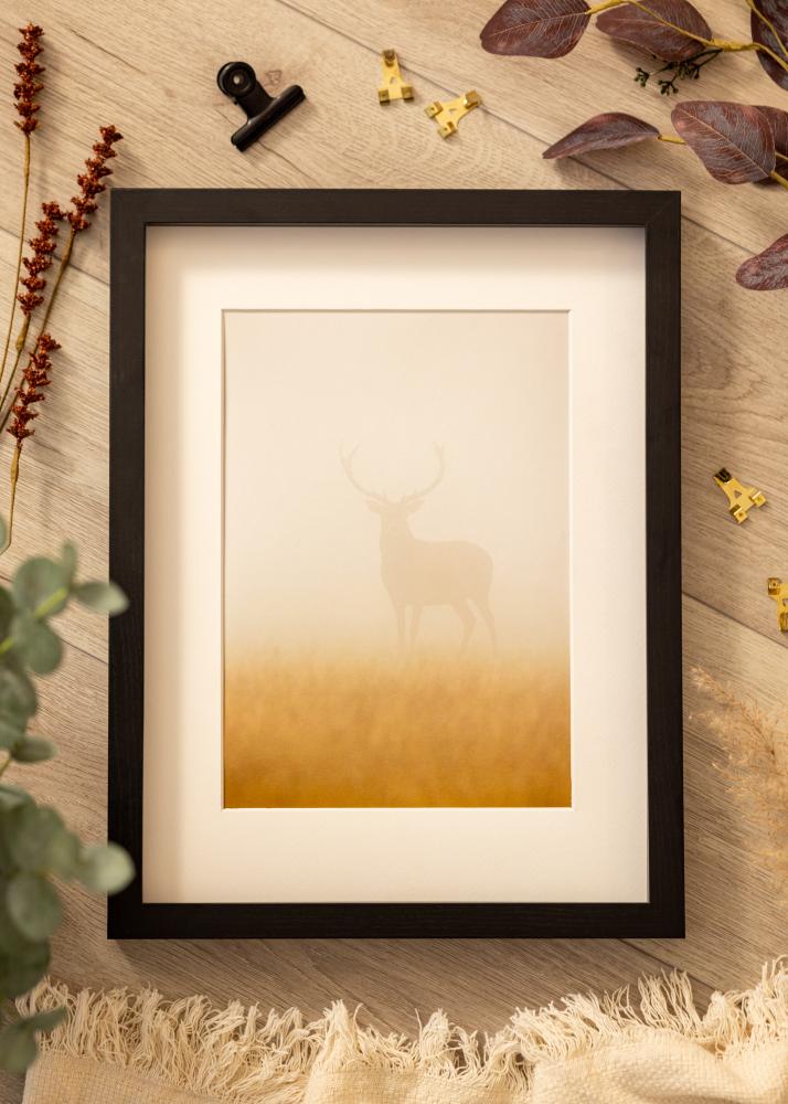 BGA Ramă tip cutie Sticlă acrilică Negru 50x100 cm