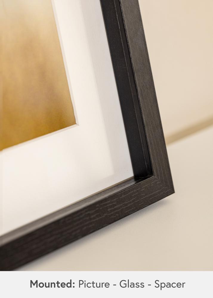 BGA Ramă tip cutie Sticlă acrilică Negru 50x100 cm