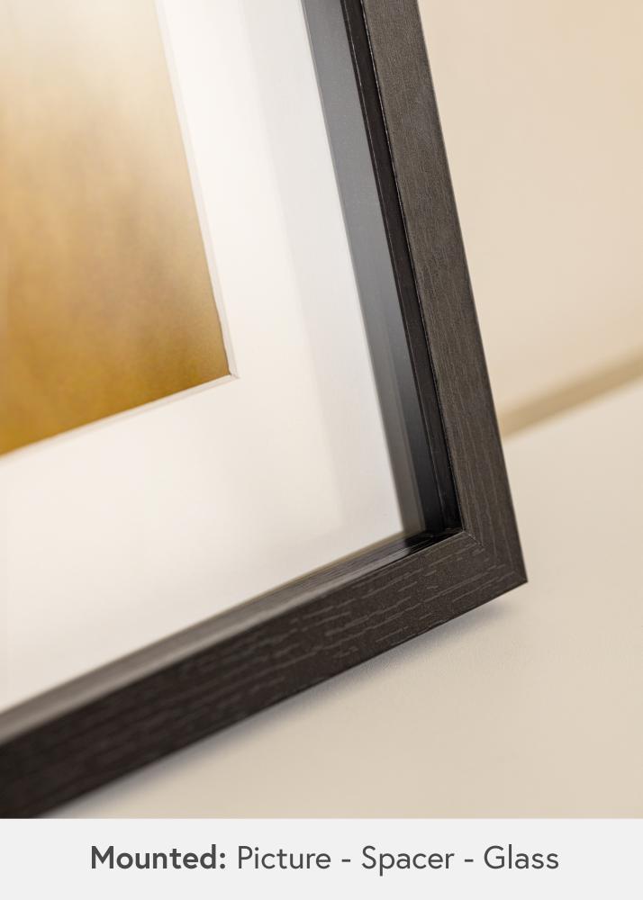 BGA Ramă tip cutie Sticlă acrilică Negru 50x100 cm