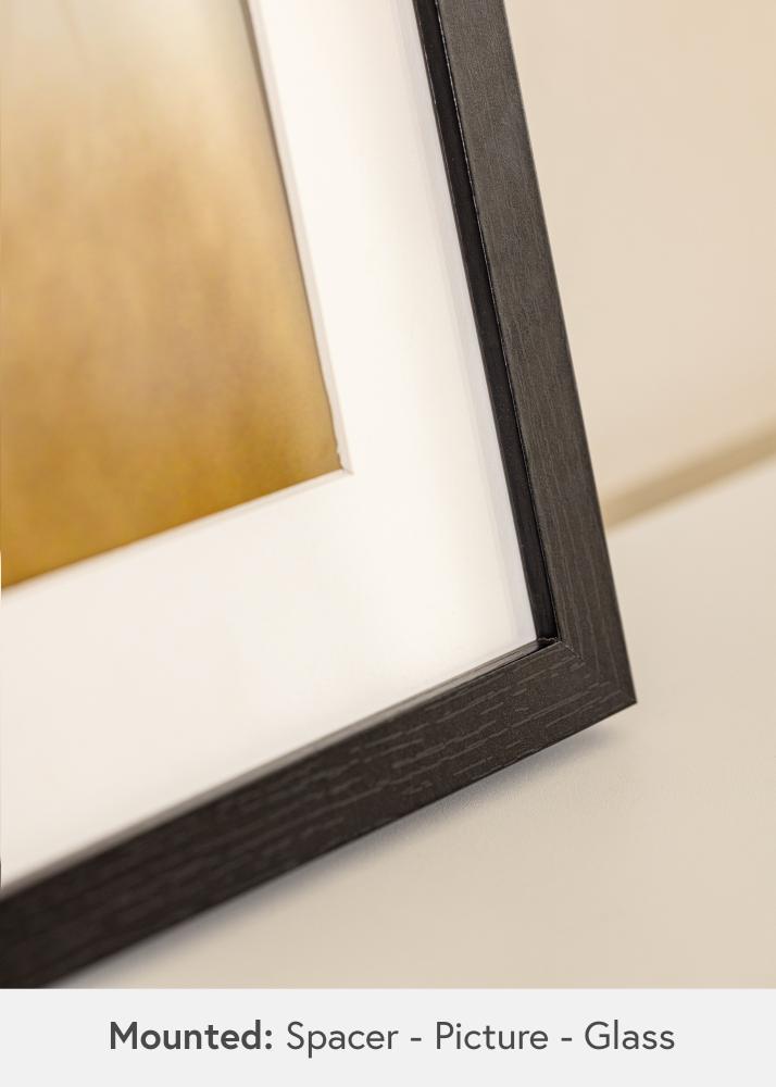 BGA Ramă tip cutie Sticlă acrilică Negru 50x100 cm