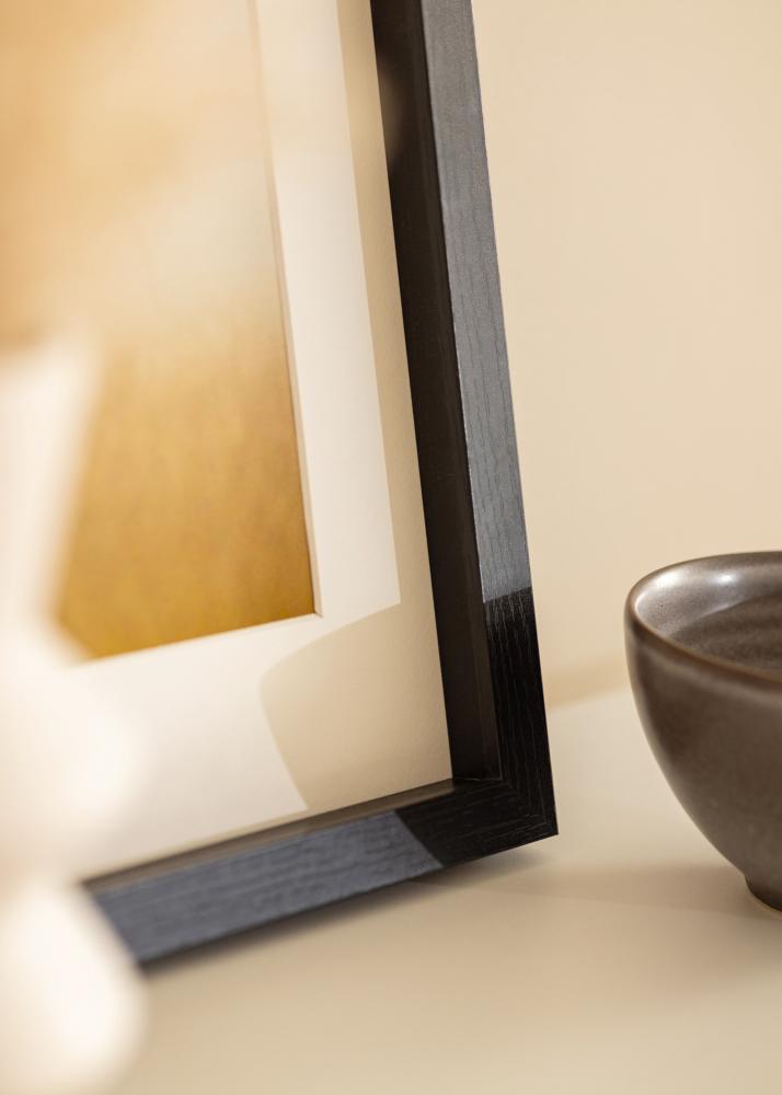 BGA Ramă tip cutie Sticlă acrilică Negru 50x100 cm