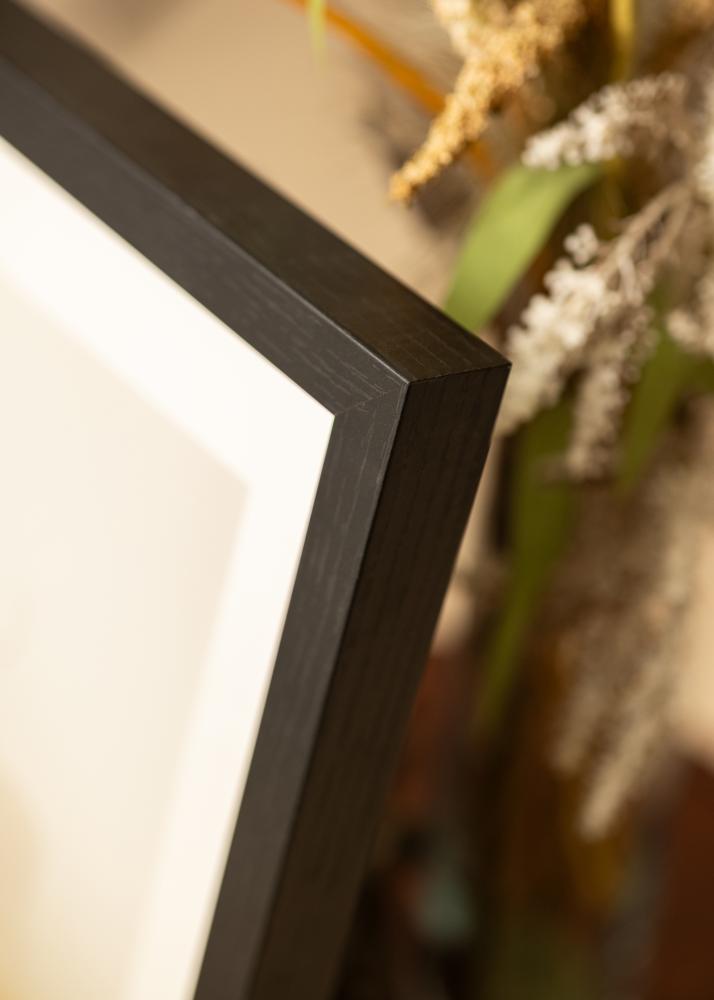 BGA Ramă tip cutie Sticlă acrilică Negru 50x100 cm