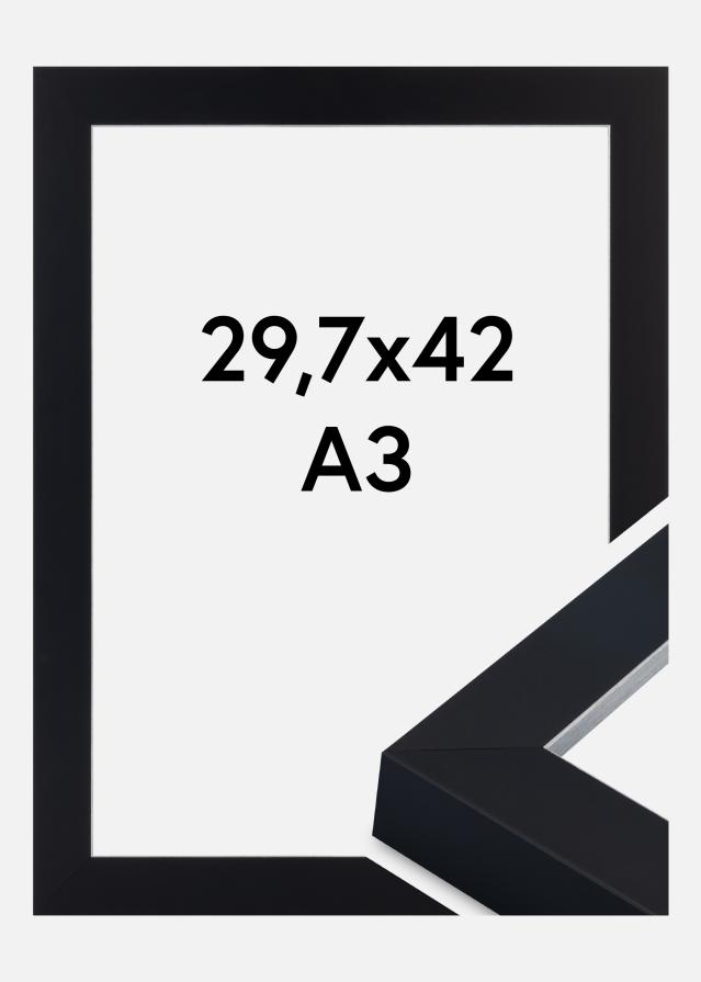 Ramă Sussex Sticlă acrilică Negru/Argintiu 29,7x42 cm (A3)