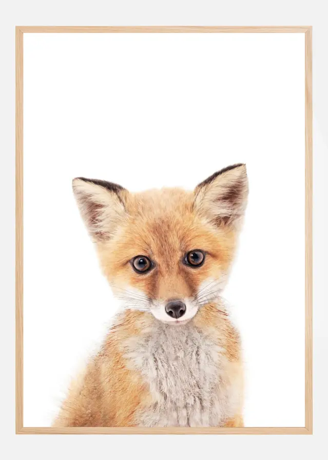 Baby Fox Poster